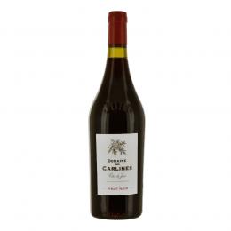 Pinot Noir 2023 Rouge
