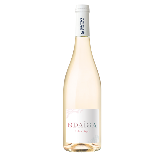 Odaïga Blanc 2025