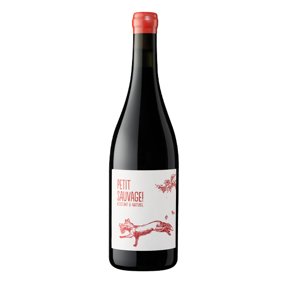 Petit Sauvage 2024 Rouge