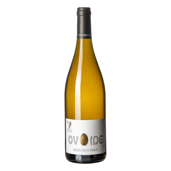 Muscadet Grandlieu Demi Boeuf cuvée Ovoide 2024 Blanc